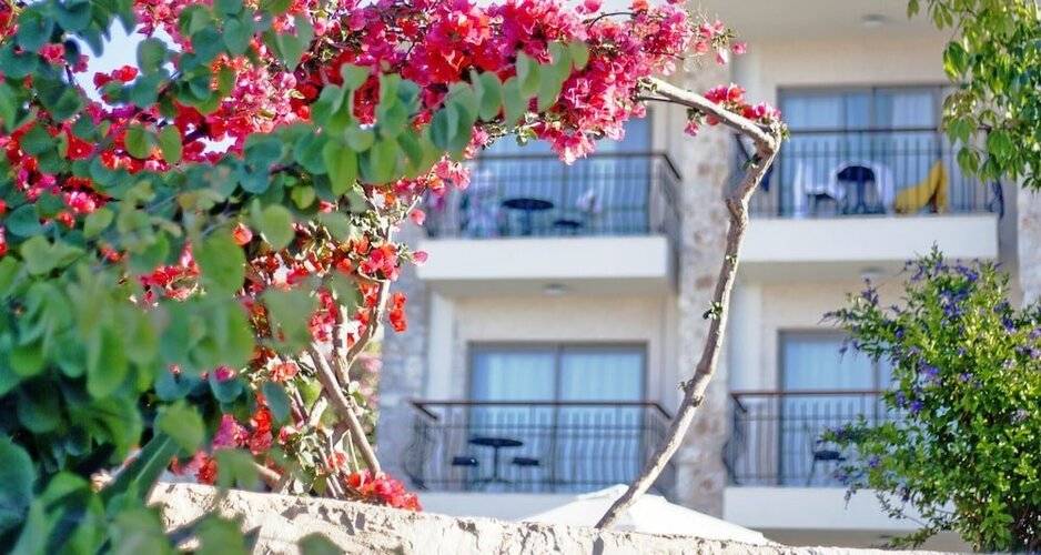 Molino Hotel
