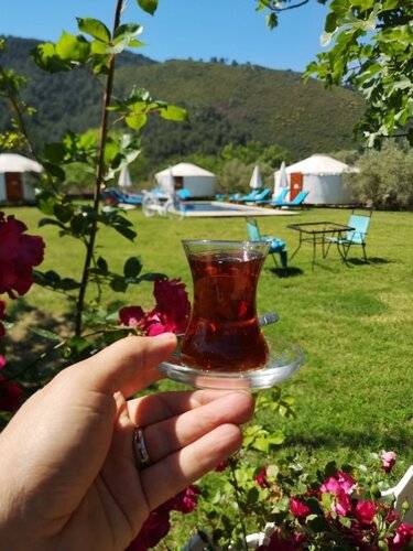 Yol Glamping Hotel Retreat Center