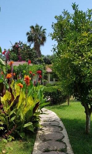 Отель Olympos Oase