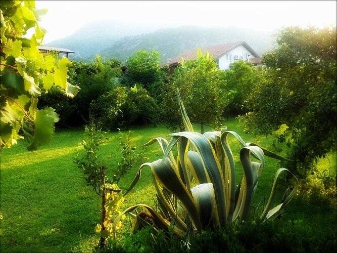 Отель Olympos Oase