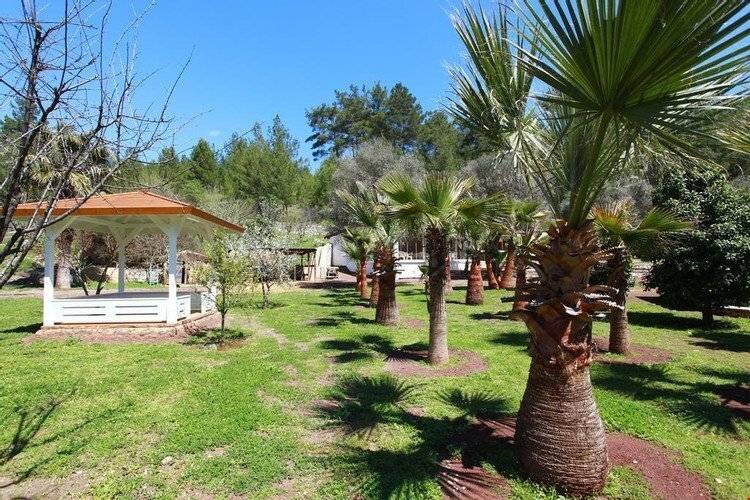 Nature Village Olympos