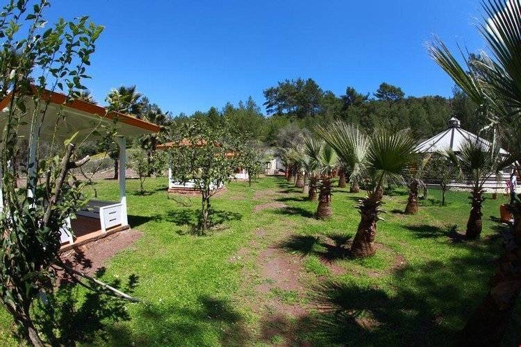 Nature Village Olympos
