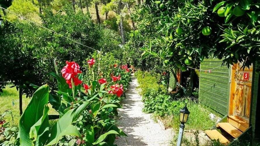 Olympos Tatilya Pansiyon