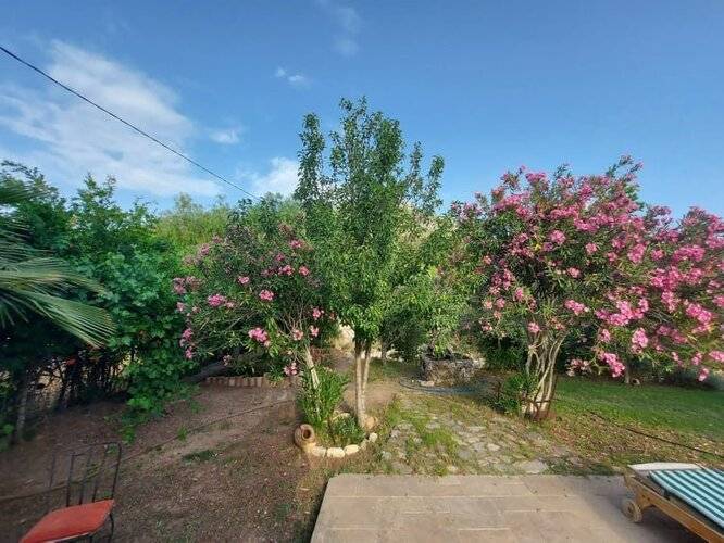 Гостевой Дом Koyevi Olympos