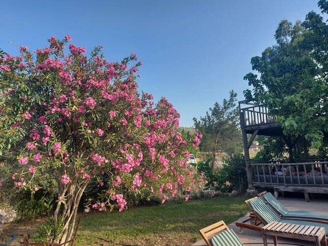 Гостевой Дом Koyevi Olympos
