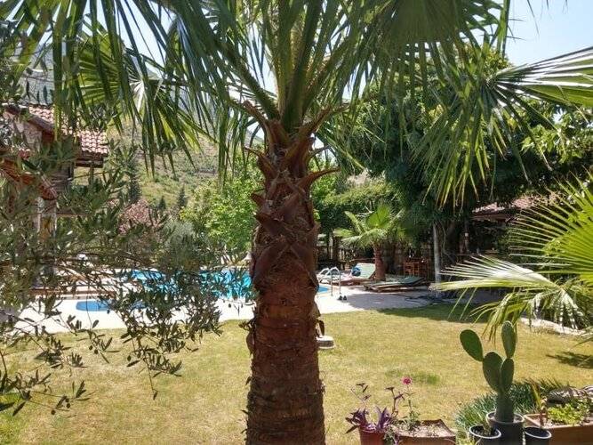 Гостевой Дом Koyevi Olympos