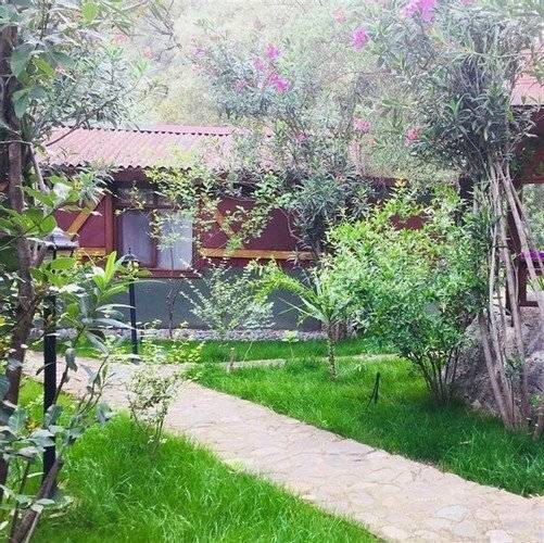 Canario Pension