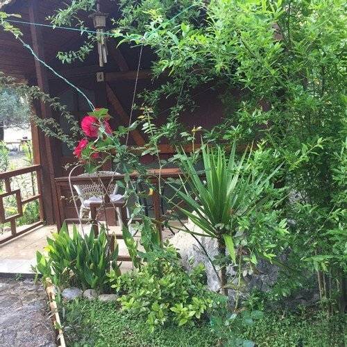 Canario Pension