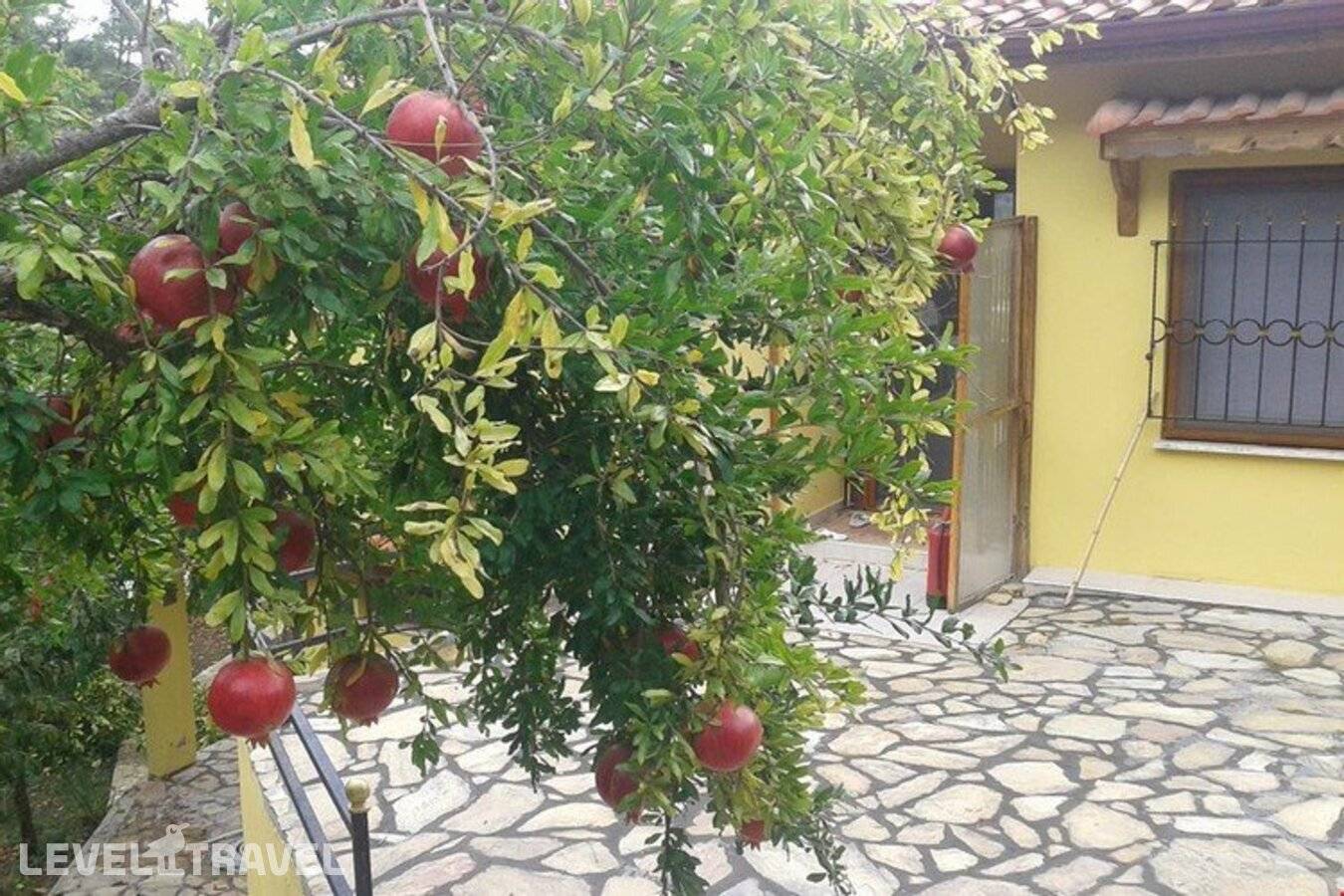 Изображение отеля 3