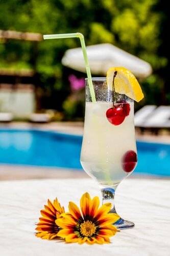 Dalya Life Hotel