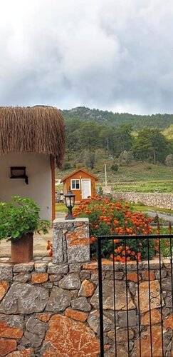 Kovan Bungalow