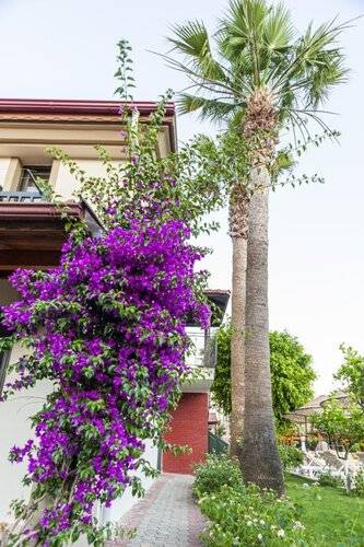 Бутик-Отель Portakal Dalyan