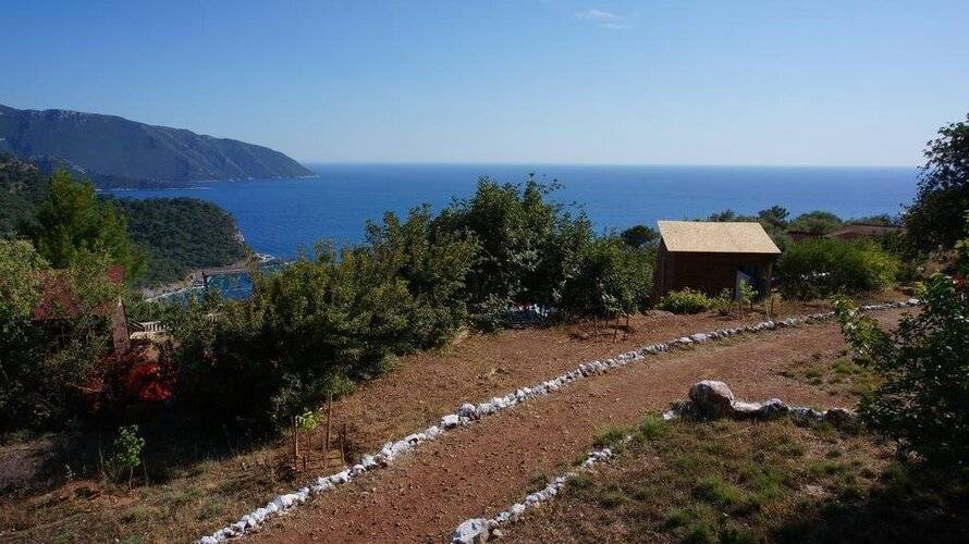 Shiva Camp