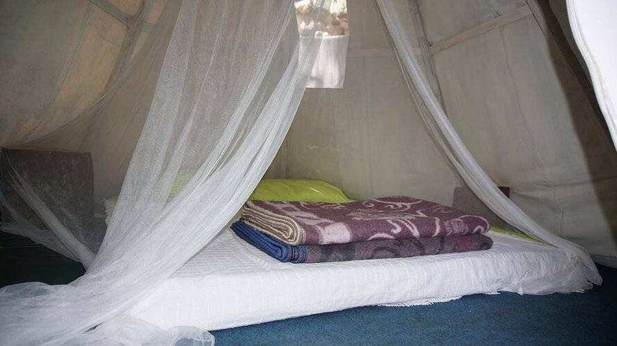 Shiva Camp