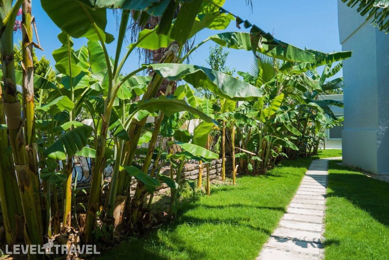 фотографии отеля Art Suites Hotel Bodrum в Турция(Ялыкавак) - фото №23