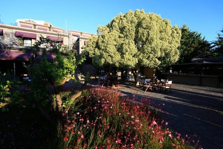 Costa Farilya Special Class Hotel Bodrum - Special Class