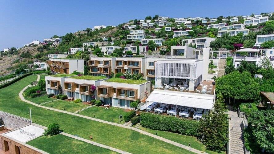 Palmalife Hotel