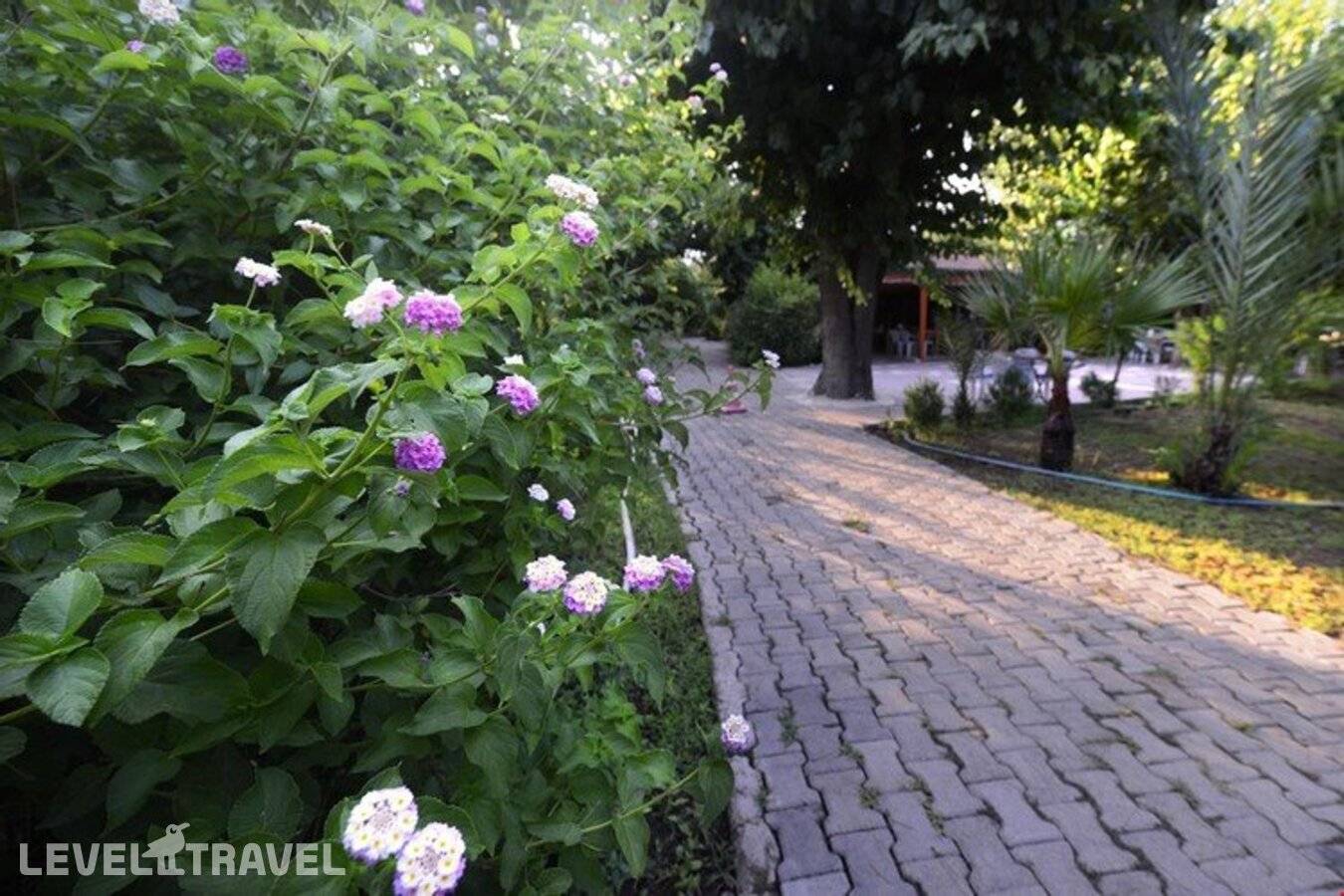 Изображение отеля 23