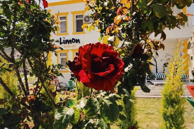 Limon Pansiyon