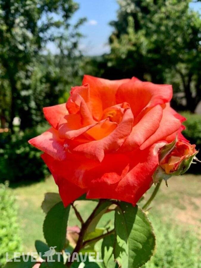 Изображение отеля 7