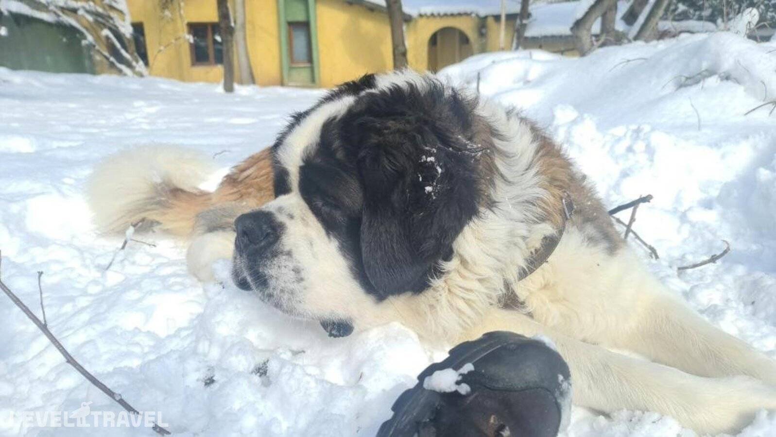 Изображение отеля 11