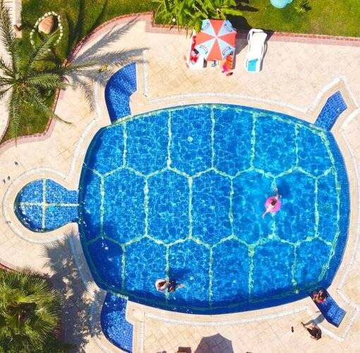 Turtle Apart