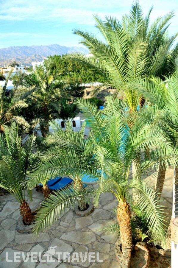 фотографии отеля Dahab Divers в Египет(Дахаб) - фото №10