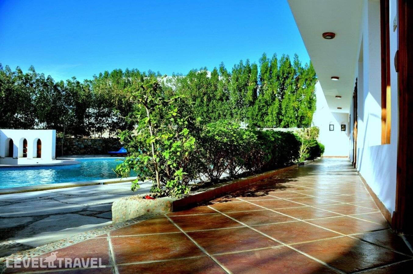 фотографии отеля Dahab Divers в Египет(Дахаб) - фото №15