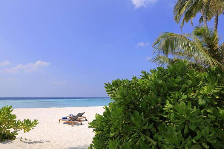 Avani+ Fares Maldives Resort