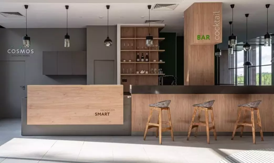 Cosmos Smart Segezha