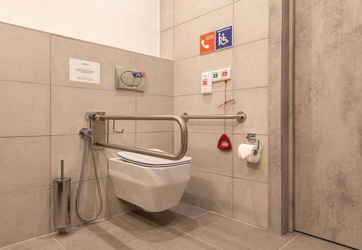 Cosmos Smart Segezha