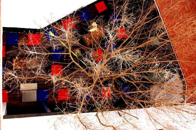 Hostal Raval Rooms (Hotel Casa Gardenia) — фото 7