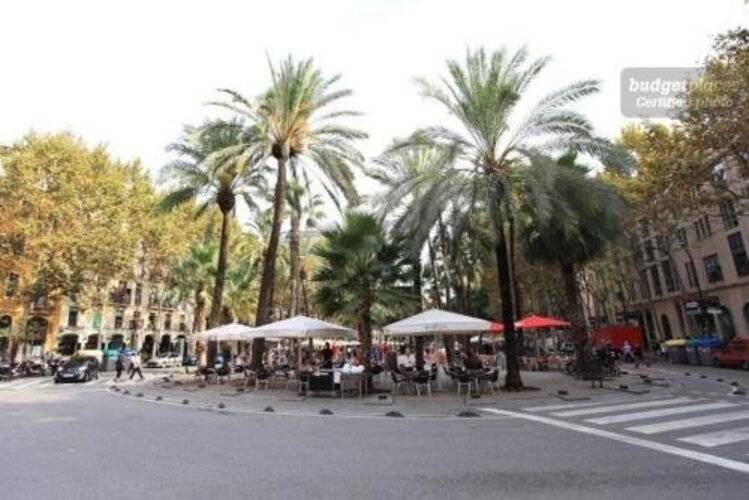 Hostal Raval Rooms (Hotel Casa Gardenia) — фото 8