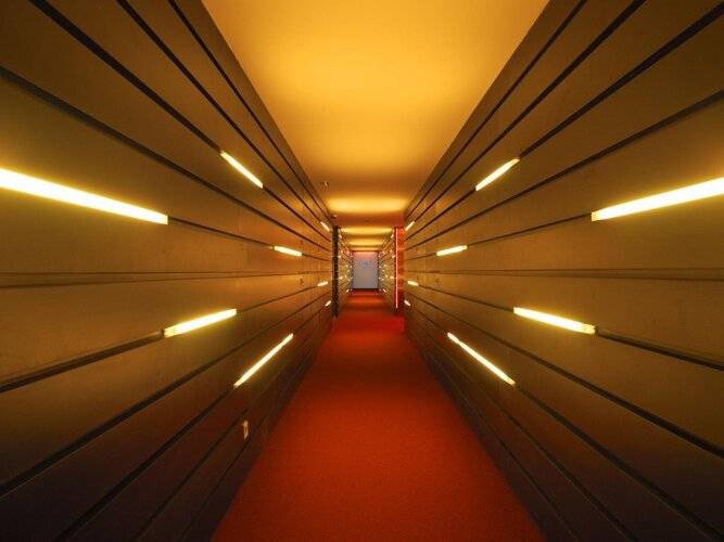 Ikonik Angli — фото 6