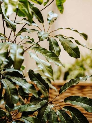 Sonder Casa Luz — фото 11