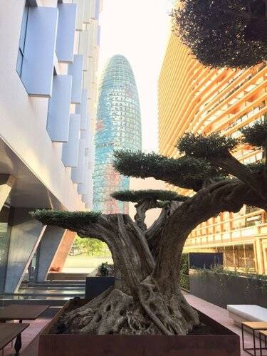 Hotel Sb Glow — фото 38