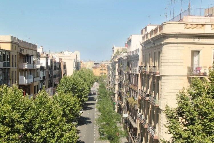 Som Nit Triomf — фото 25