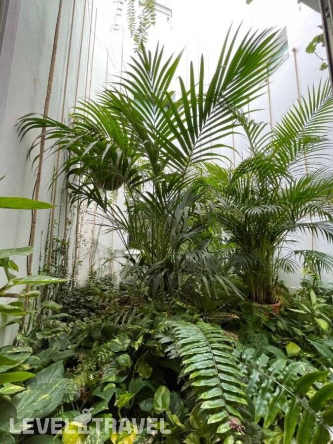Изображение отеля 15
