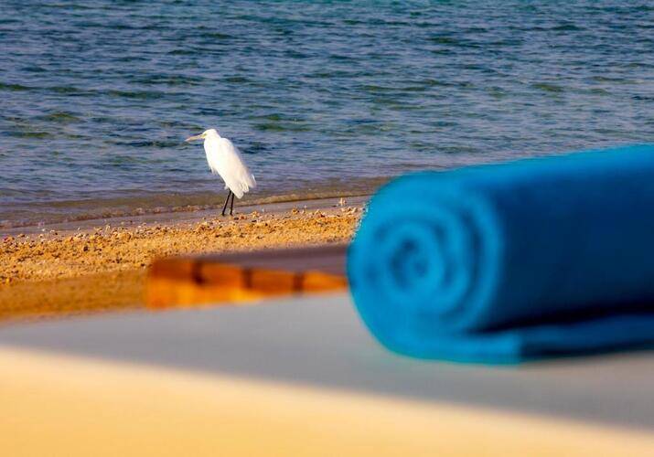 Zen Resort Sahl Hasheesh Boutique