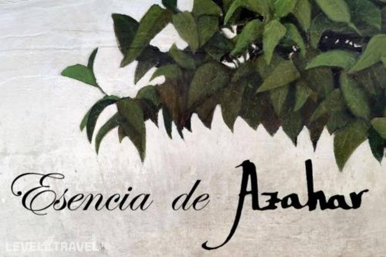 Изображение отеля 8
