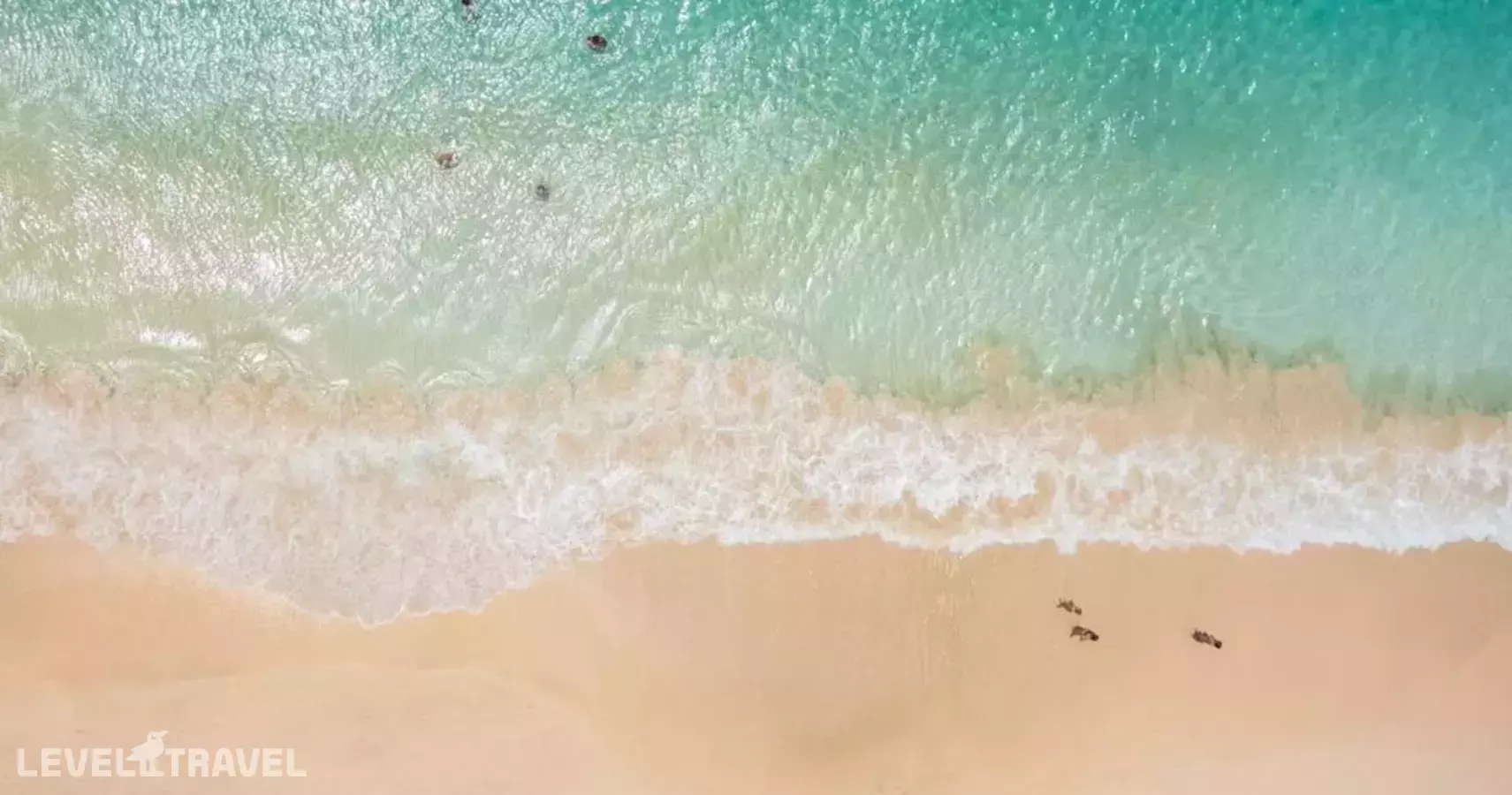 Art Suites By Casa De Indias