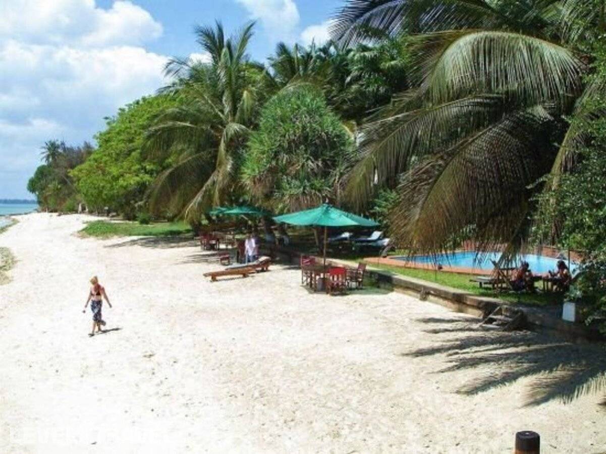 фотографии отеля Jungle Paradise Beach Resort & Spa Mbweni Ruins в Танзания(о. Занзибар) - фото №6