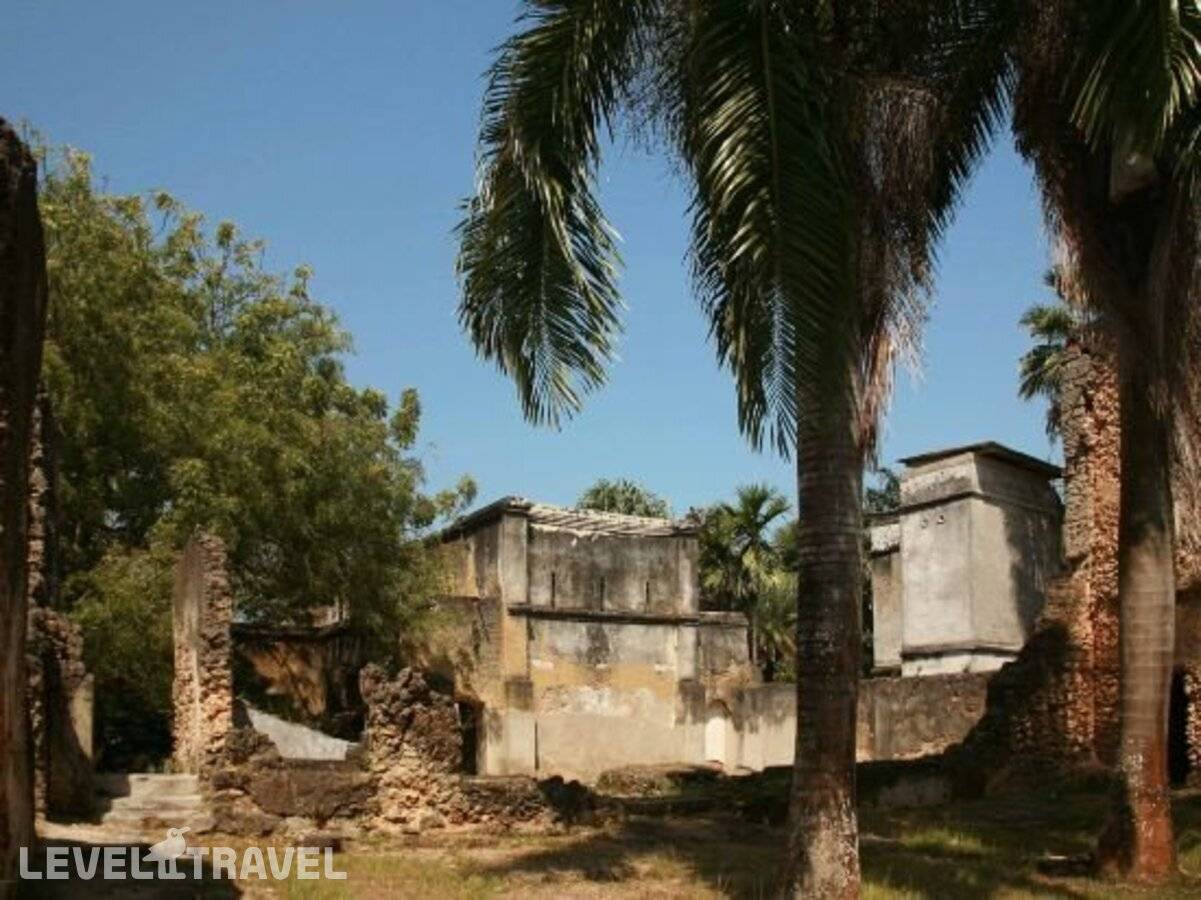 фотографии отеля Jungle Paradise Beach Resort & Spa Mbweni Ruins в Танзания(о. Занзибар) - фото №17