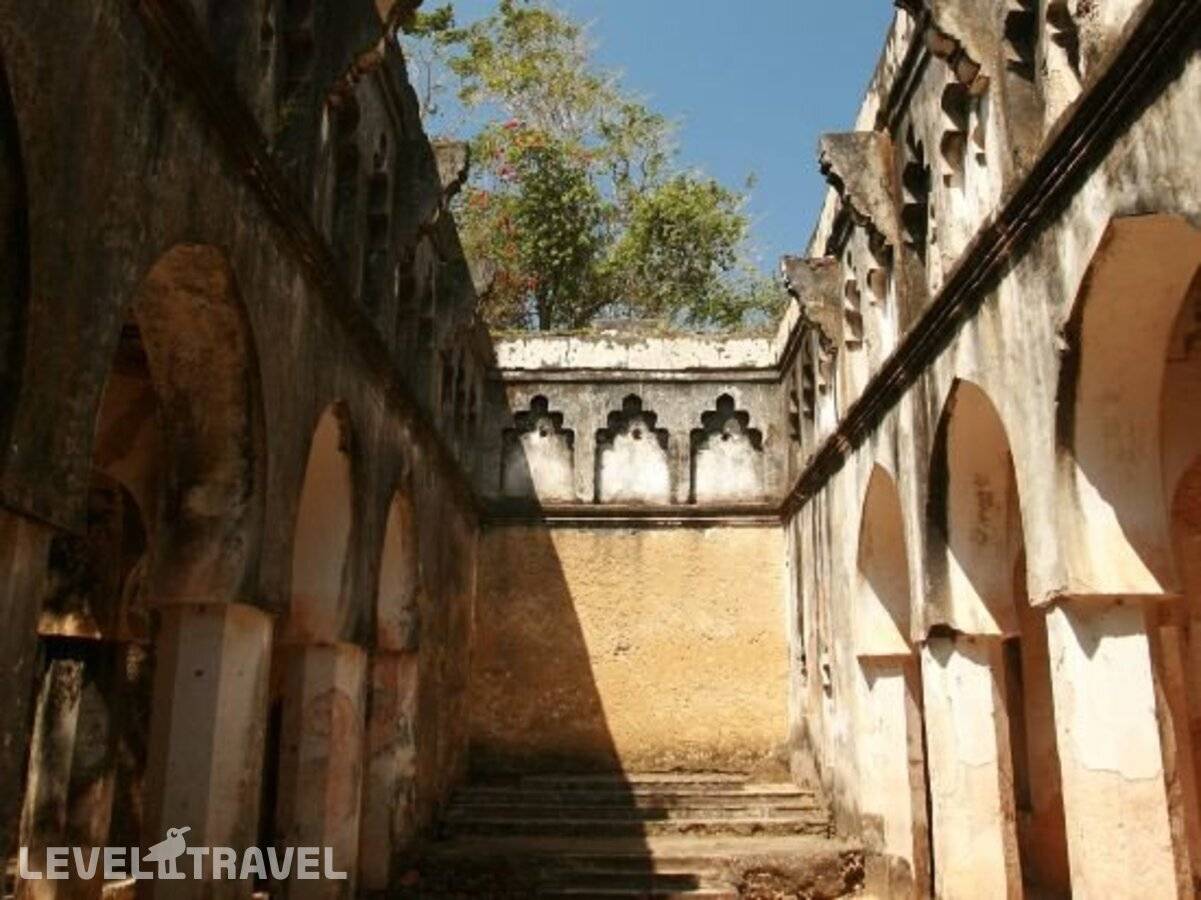 фотографии отеля Jungle Paradise Beach Resort & Spa Mbweni Ruins в Танзания(о. Занзибар) - фото №16