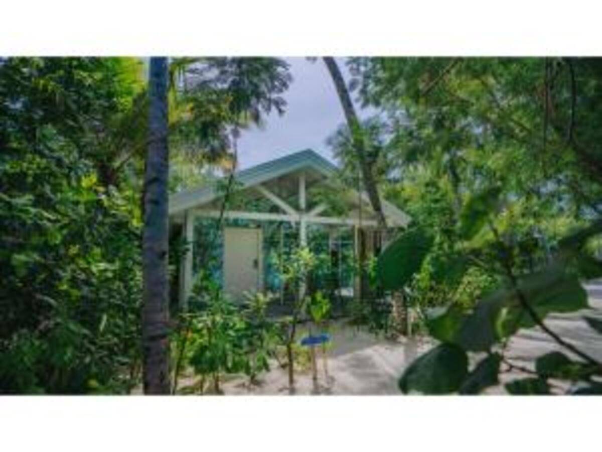 фотографии отеля Oaga Art Resort в Мальдивы(Северный Мале Атолл) - фото №42