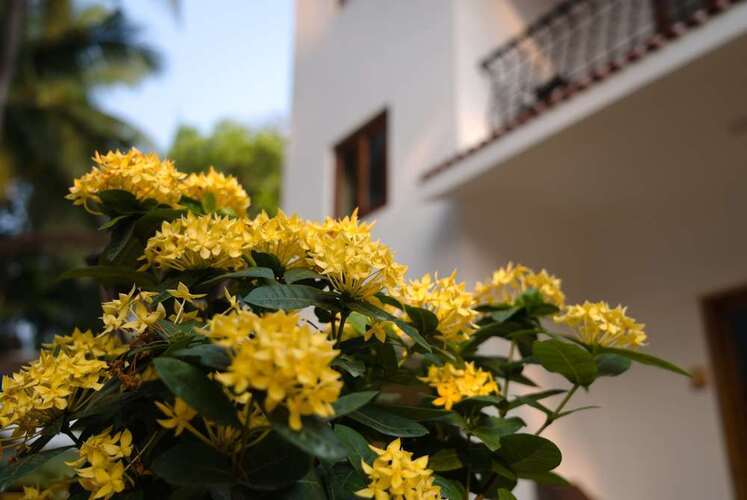 The Verda De Miranda Resort