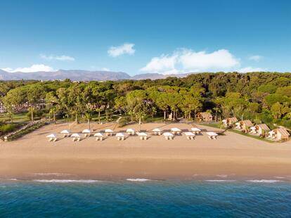 Превью видео