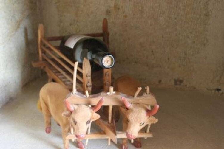 Hotel Elvan Cave House