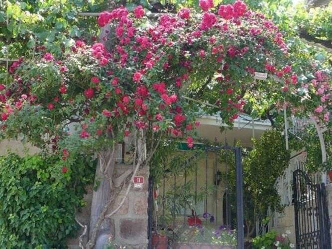 Hotel Elvan Cave House