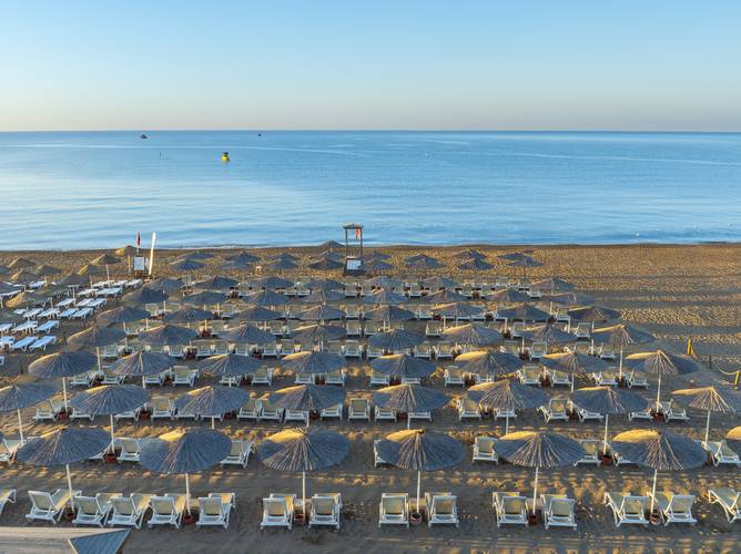 The X Belek